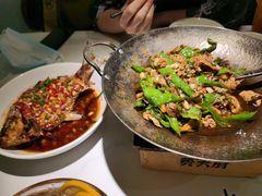 费大厨辣椒炒肉-费大厨辣椒炒肉(高铁吾悦广场店)