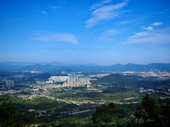 -黄埔油麻山森林公园