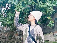 -皤滩古镇