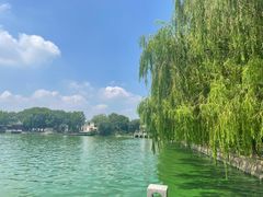 -同里湖度假村(二期店)