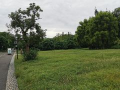 -张坝桂圆林公园