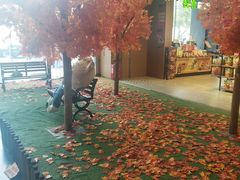 -天虹购物中心(石路店)