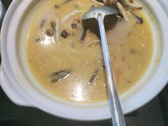 -三强鸽子(中原路店)