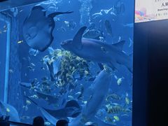 -太平洋海底世界