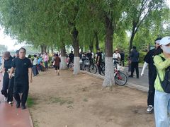 -丁香湖公园
