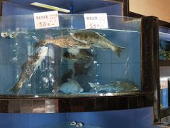 -岭南海晏楼(东晓南店)