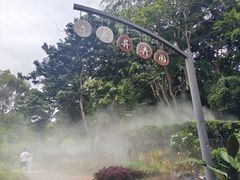 -中国科学院西双版纳热带植物园