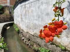-西溪南古村落景区
