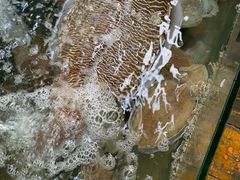 -蓝湾碧波·老字号·疍家非遗海上餐厅