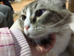 -白兔子密室(长寿路店)