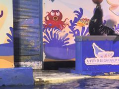 -太平洋海底世界