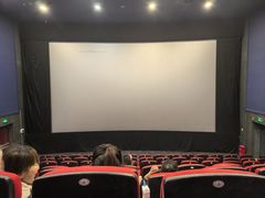 -华谊兄弟影院(IMAX洋桥店)