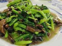 -何记羊汤馆(丽水佳源店)
