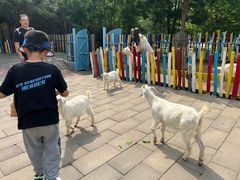 -西部长青自然儿童乐园