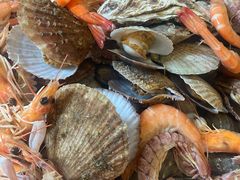 -四海蒸鲜蒸汽海鲜自助(北戴河店)