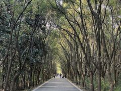 -同里国家湿地公园