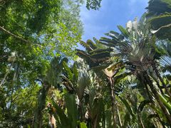 -中国科学院西双版纳热带植物园