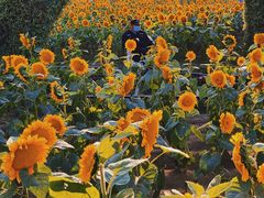 -长白岛森林公园