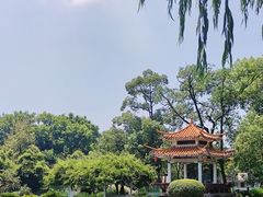 -雨湖公园