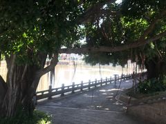 -光明港公园