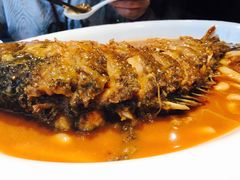 -阿五黄河大鲤鱼(纬三路店)