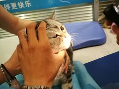-美迦爱-牙专科·兔科·骨科诊疗中心(北苑店)