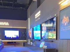 -Sony Store索尼(深圳深业上城店)