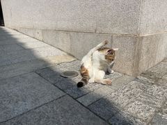 -荔湾湖公园