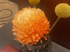 -香乐园·淮扬菜中餐厅·Shang Garden(福田香格里拉店)