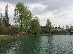-秀丽东方