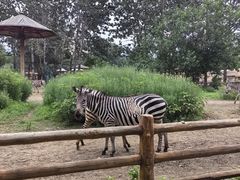 -大连森林动物园