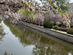 -元大都城垣遗址公园