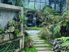 -东莞植物园
