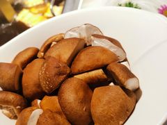 -海底捞火锅(老城根店)