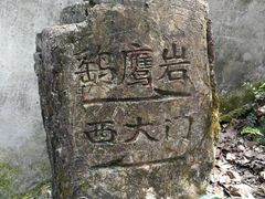 -大金鹰园