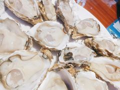 -千岛蚝高压锅生蚝·人参火锅(白云万达店)