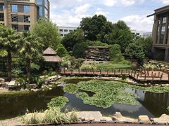 -昆明洲际酒店