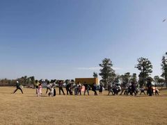 -春花秋色城市公园