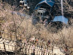 -野三坡百里峡景区