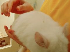 -龙猫仔乐园(惠福东路店)