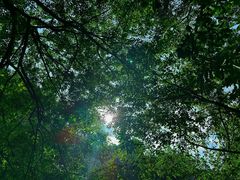 -广州市石门国家森林公园