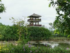 -沙美村