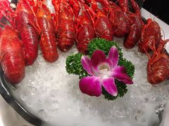 冰镇酒醉小龙虾-红盔甲·小龙虾(天钥桥店)