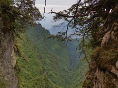 -峨眉山风景名胜区