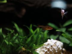 -Together·泰式按摩精油SPA(天山店)