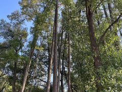 -东湖落雁景区