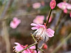 -上海虹桥迎宾馆