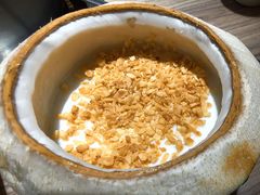 -探窝·竹笙椰子鸡(杨箕店)