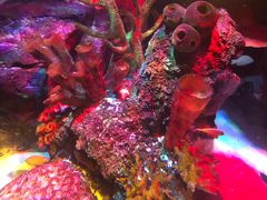 -沈阳海洋探索中心