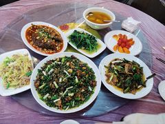 -铁山坪森林公园